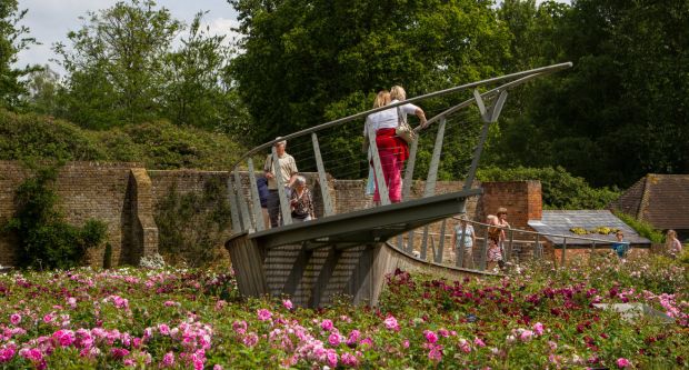Elevated walkway over Rose Garden at The Savill Gardens